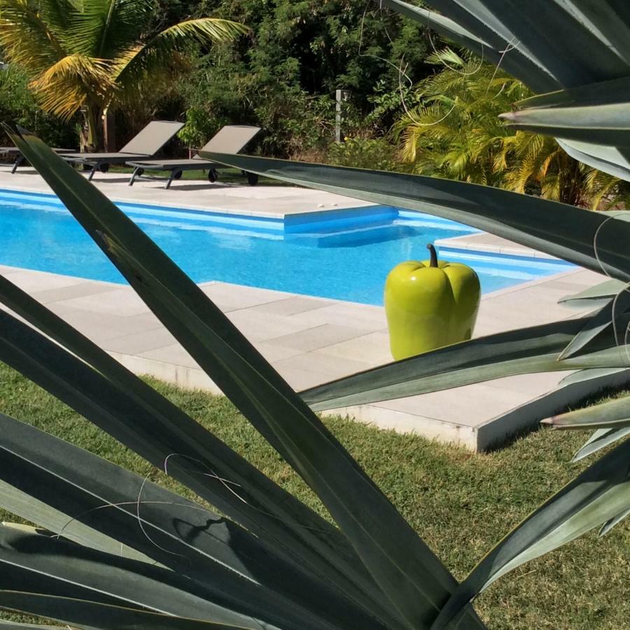 Gîte Les Jardins d'Enoha Anse-Bertrand Extérieur photo